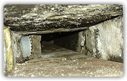 Mold In Air Ducts
